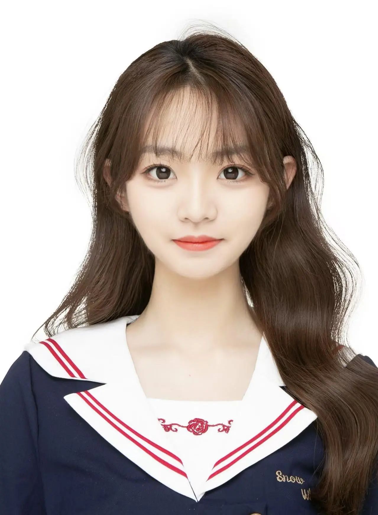 研路星火引航者 榜样辉光映征程（八）