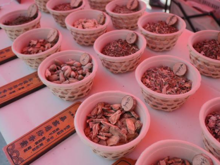 非遗焕彩迎新篇 馆校联袂启新程 ——艺术学院迎新现场传统文化闪亮登场