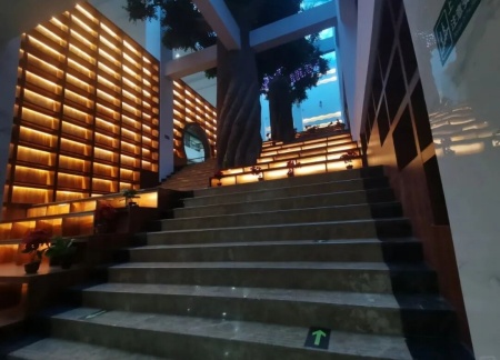 米乐mile官方网站艺术学院 2025 级新生解锁图书馆“灵感密码”——入馆教育活动