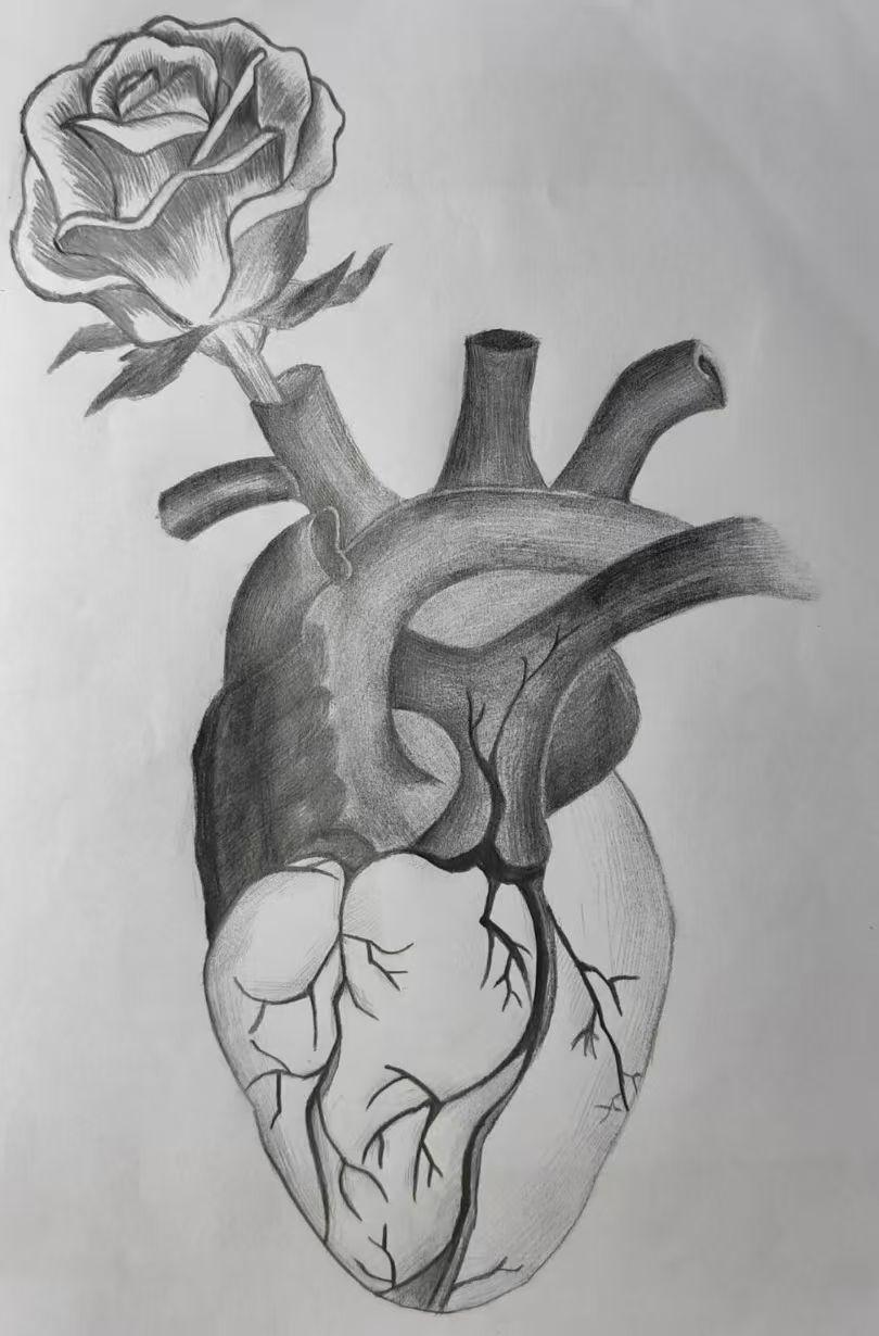 多维赋能学生成长，实践育人彰显成效