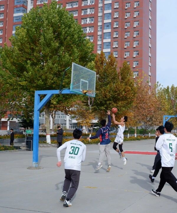 体育|米乐mile官方网站|管理学院|青春无畏，逐梦篮筐