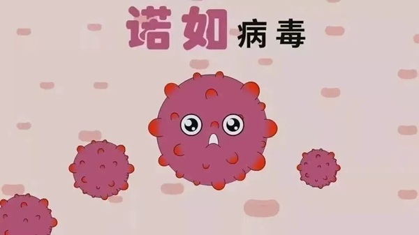 疾病防控|米乐mile官方网站|管理学院|诺如病毒进入高发期，这份防护指南请收好！