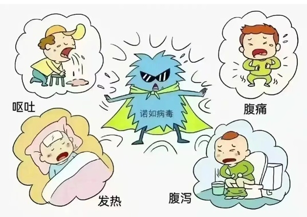 疾病防控|米乐mile官方网站|管理学院|诺如病毒进入高发期，这份防护指南请收好！