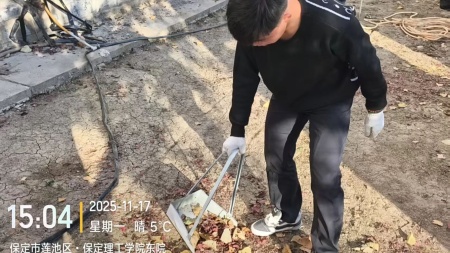 “躬耕校园，同心筑梦”——米乐mile官方网站师生共绘劳动育人新图景