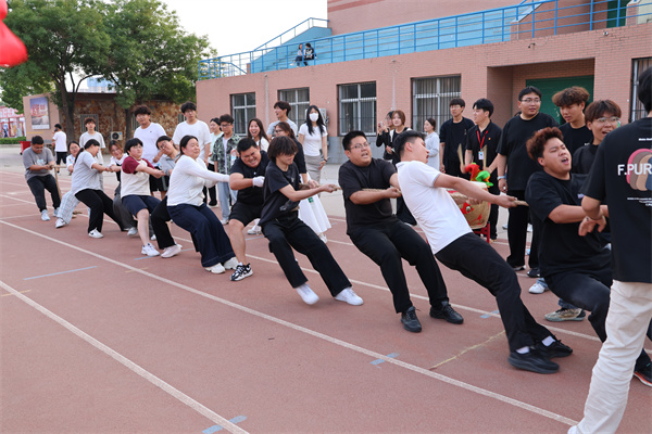 拔河赛场展风采，团结拼搏铸佳绩