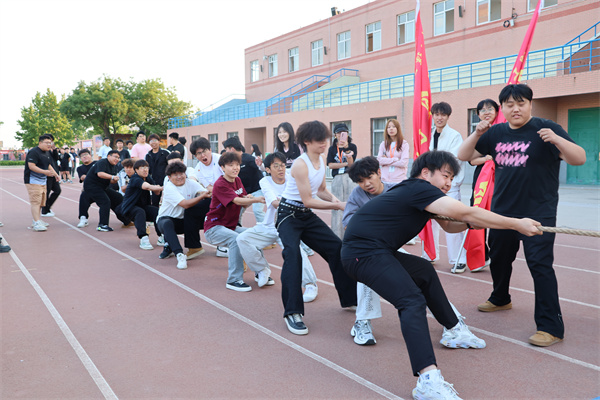 拔河赛场展风采，团结拼搏铸佳绩