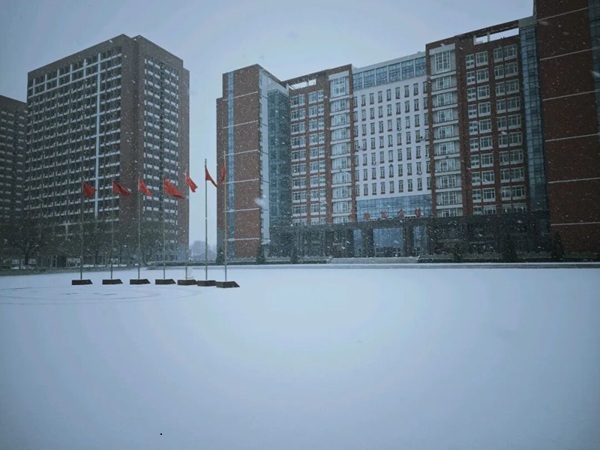 寒假限定！保理的初雪，把浪漫寄给返乡的你