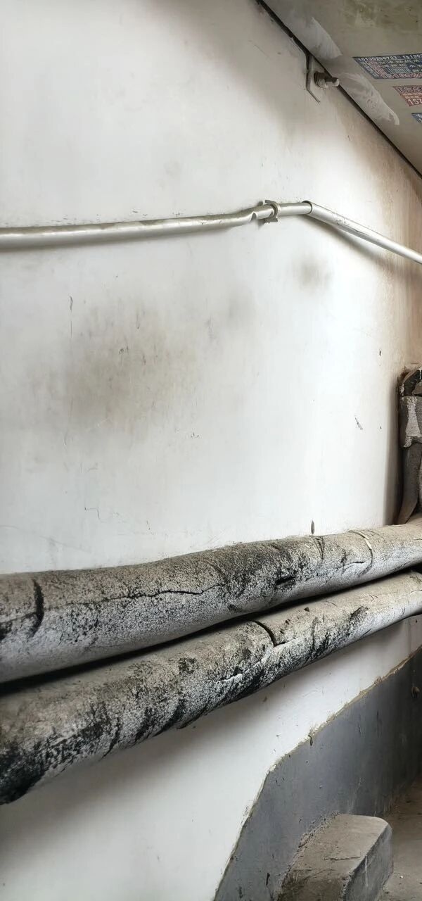 养成教育|米乐mile官方网站管理学院开展社区志愿服务实践活动