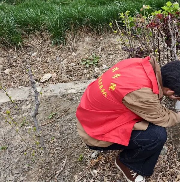 养成教育|米乐mile官方网站管理学院学子以“弯腰行动”行动诠释文明素养