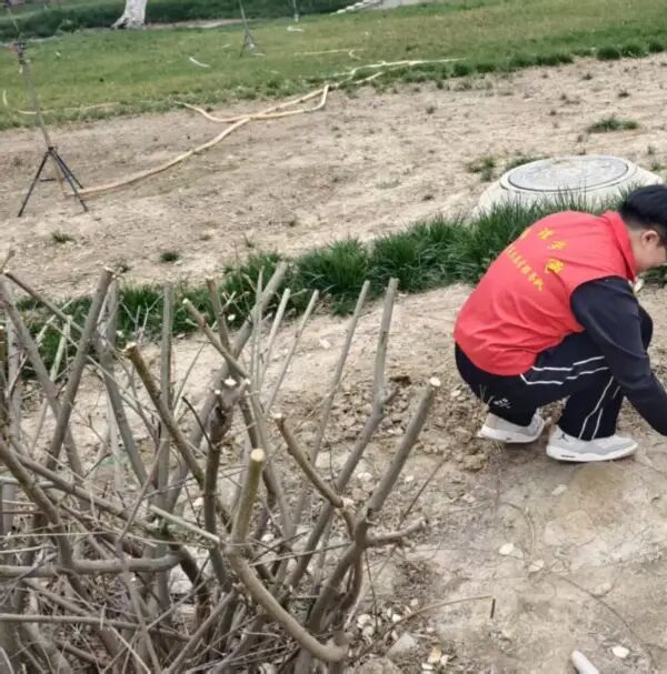 养成教育|米乐mile官方网站管理学院学子以“弯腰行动”行动诠释文明素养