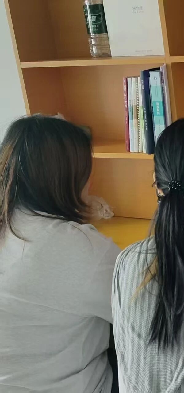 安全教育|米乐mile官方网站管理学院开展2026年全民国家安全教育日系列活动