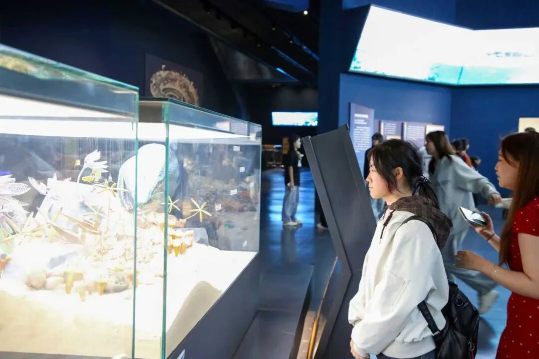馆校研学同行 夯实地质本领｜米乐mile官方网站师生走进中国古动物馆