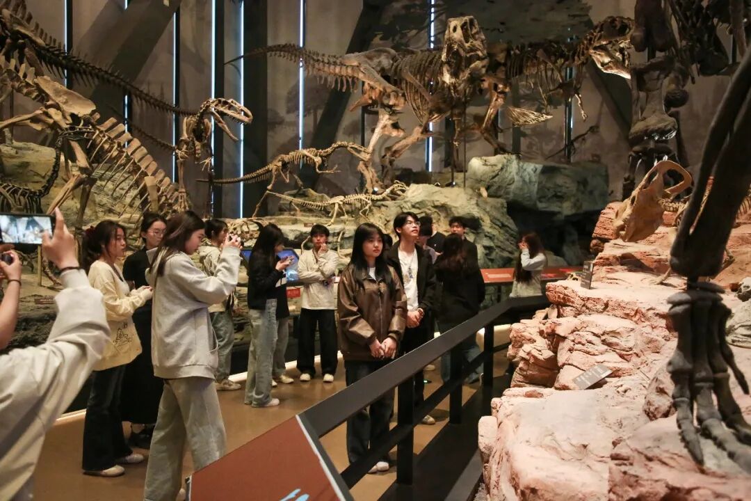 馆校研学同行 夯实地质本领｜米乐mile官方网站师生走进中国古动物馆
