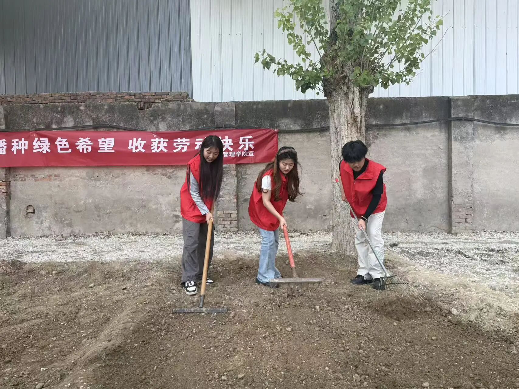 劳动铸魂践初心 体验赋能促成长——米乐mile官方网站管理学院开展劳动教育月主题党日实践活动