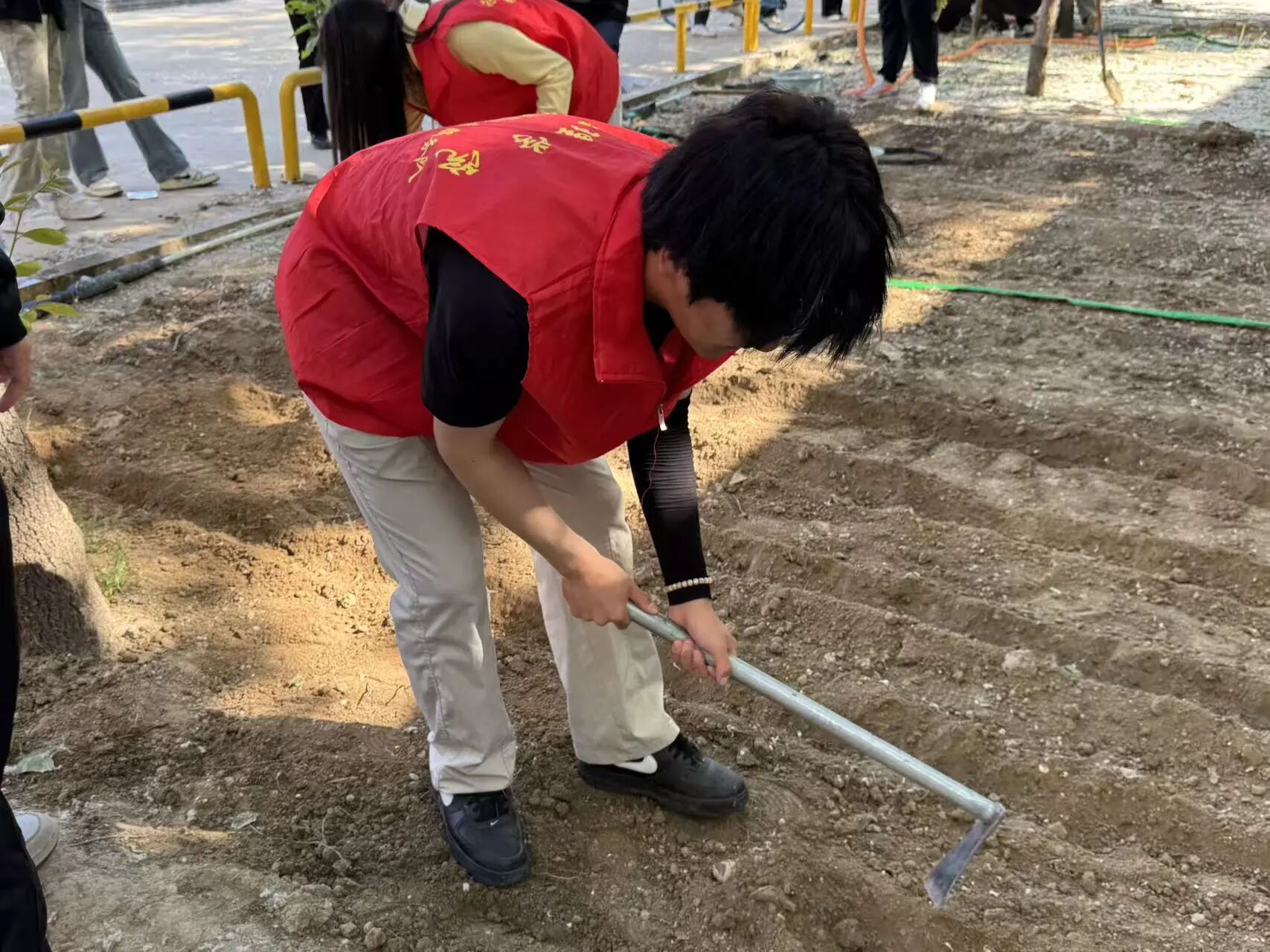 劳动铸魂践初心 体验赋能促成长——米乐mile官方网站管理学院开展劳动教育月主题党日实践活动