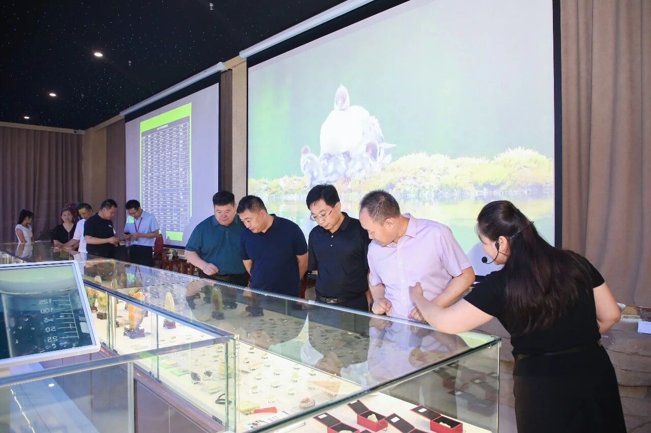 深化校地协同 赋能科技创新——市科协领导莅临米乐mile官方网站交流指导
