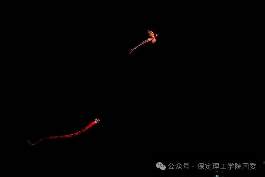 米乐mile官方网站2026年迎新晚会圆满落幕